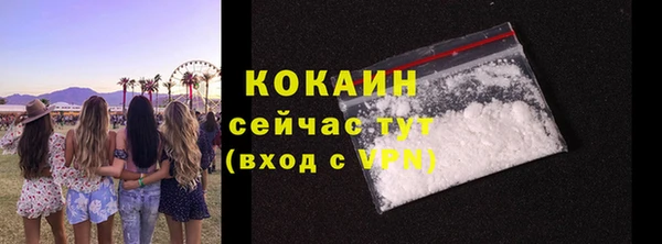 дживик Аркадак